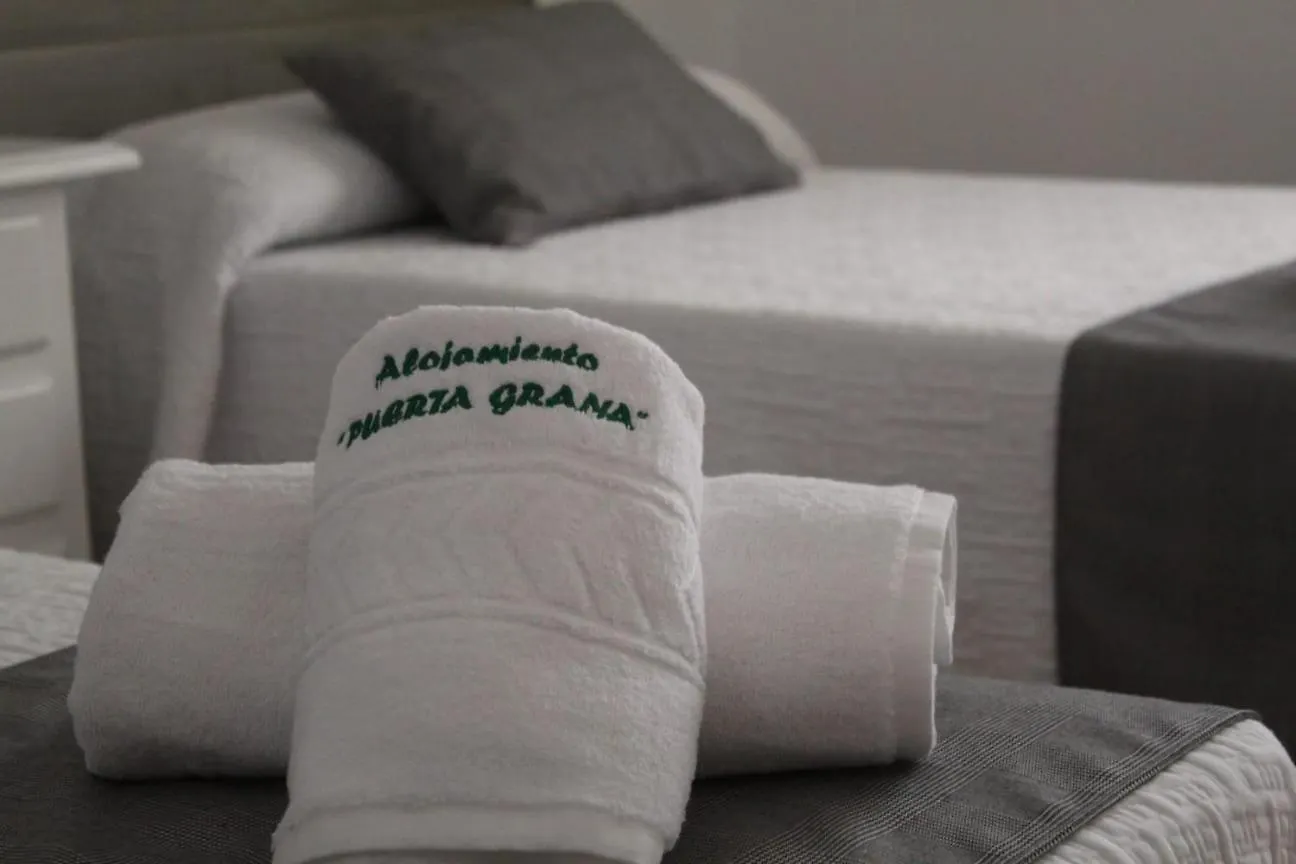 Apartamento Puerta Grana Priego. Priego De Cordoba Spain